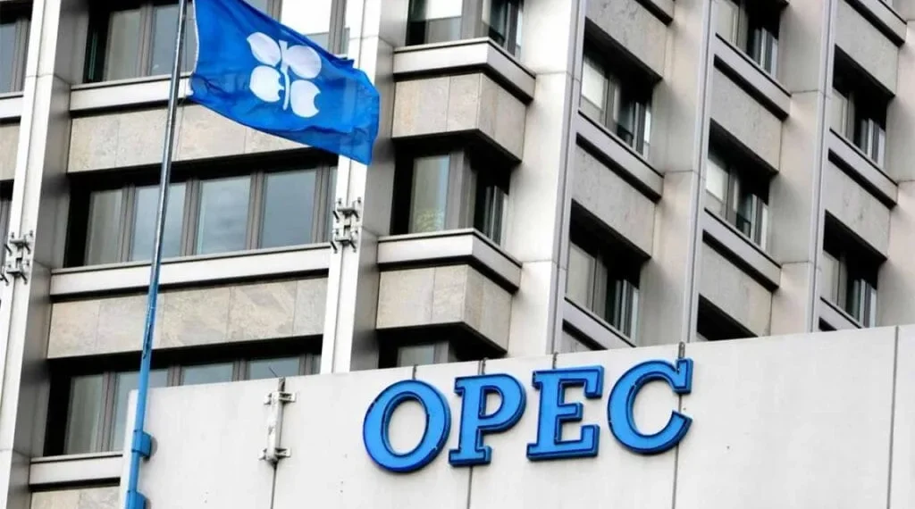 OPEC Fund Africa investment