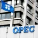 OPEC Fund Africa investment