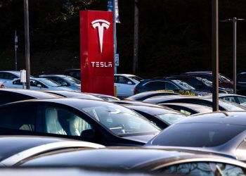 Tesla earnings drop