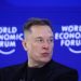 Elon Musk future predictions