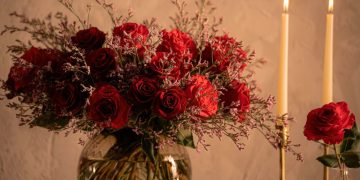 Danziger rose varieties