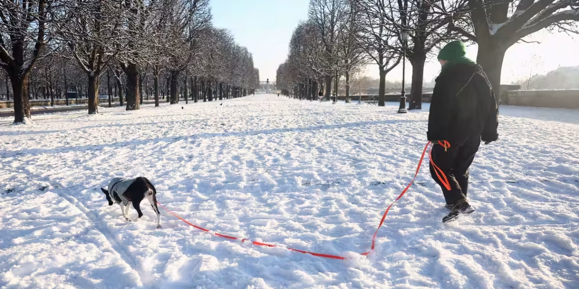 Snow chaos Europe