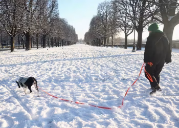 Snow chaos Europe