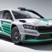 Škoda Motorsport 125 years