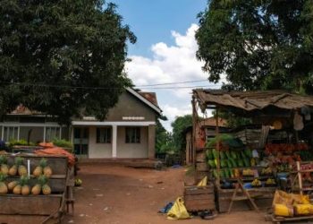 Cost of Living in Uganda: Rent, Food, and Expenses