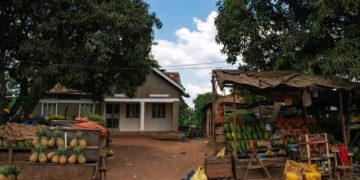 Cost of Living in Uganda: Rent, Food, and Expenses