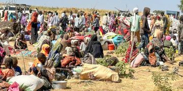 UN Genocide Report al-Fashir Details Atrocities