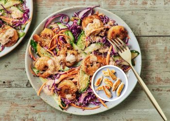 Ginger chicken slaw
