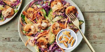 Ginger chicken slaw