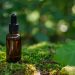 tea tree oil benefits