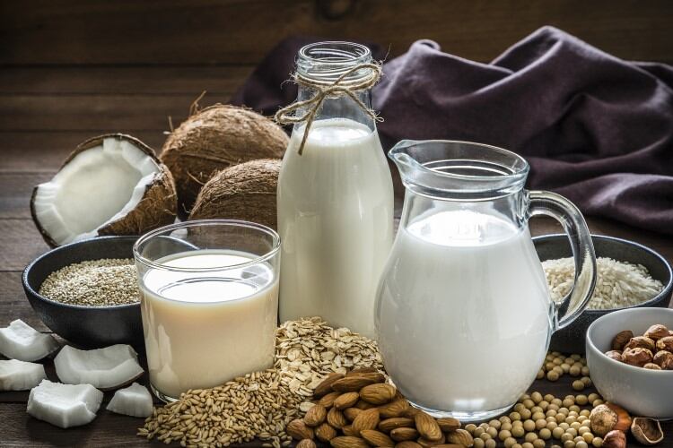 fermented plant milk