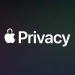 Apple privacy