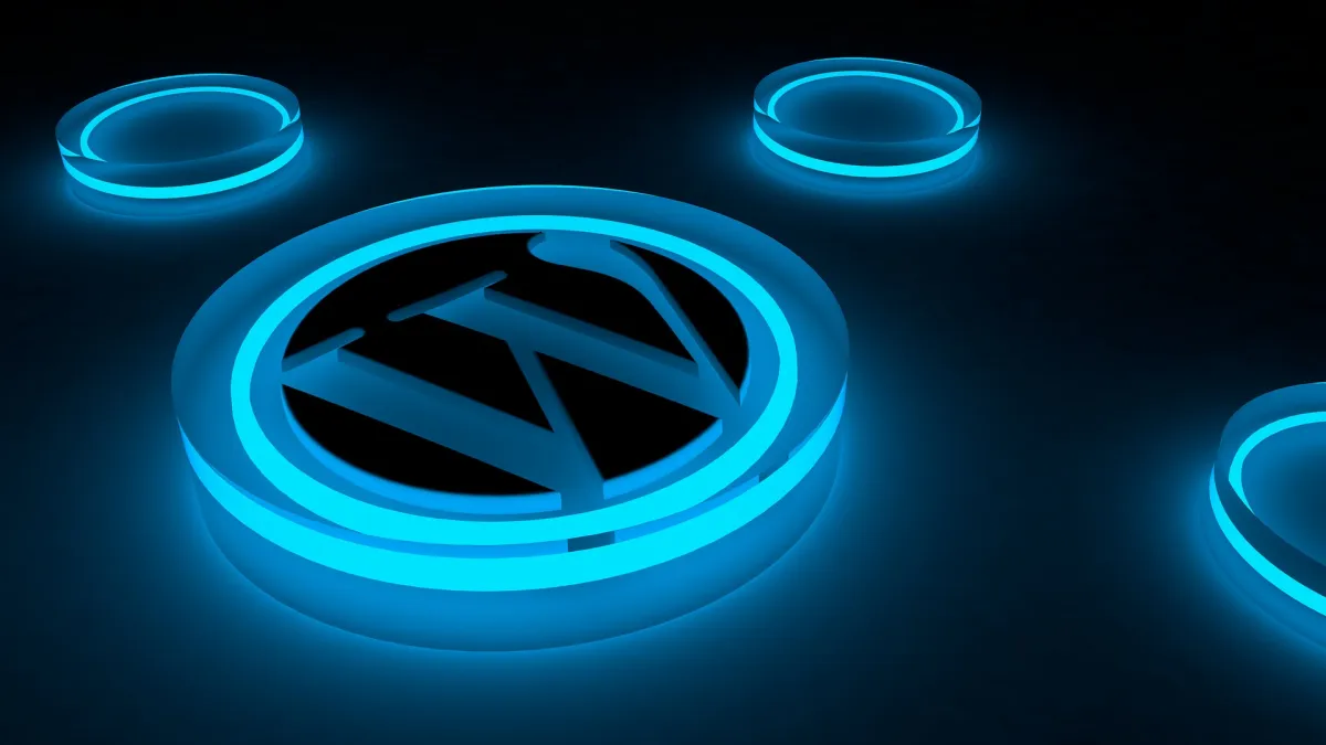 WordPress plugin backdoor