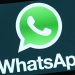 WhatsApp business folder