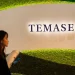 Temasek AI bets