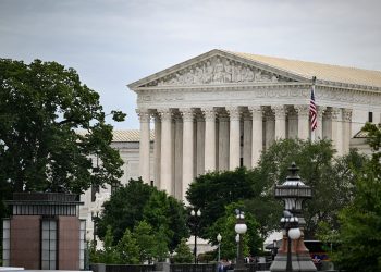 Voter citizenship database
